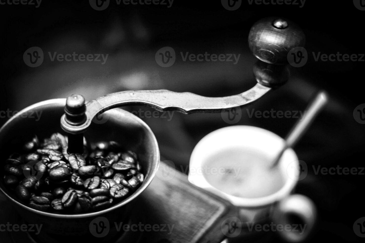 Coffee beans close view, fresh coffee background photo