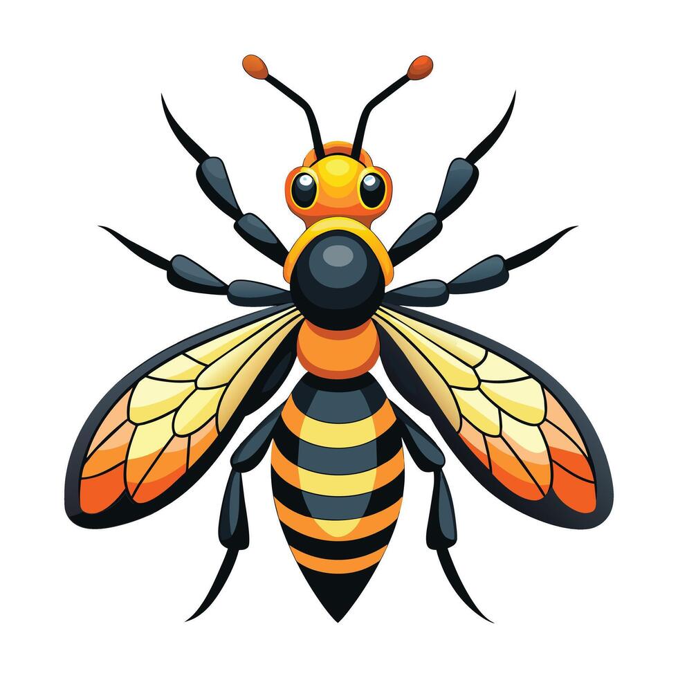 Vector of Wasp Illustration on White.