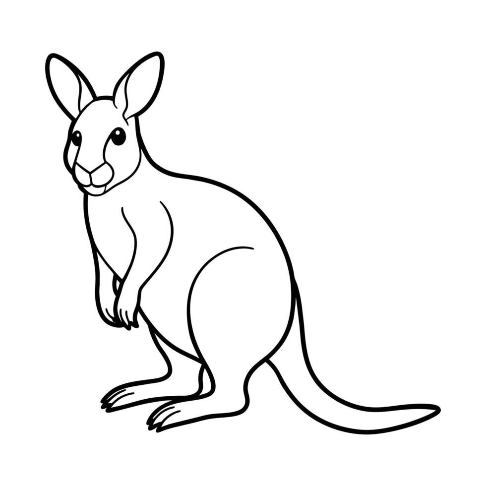 Wallaby Illustration Coloring Page for Kids. vector