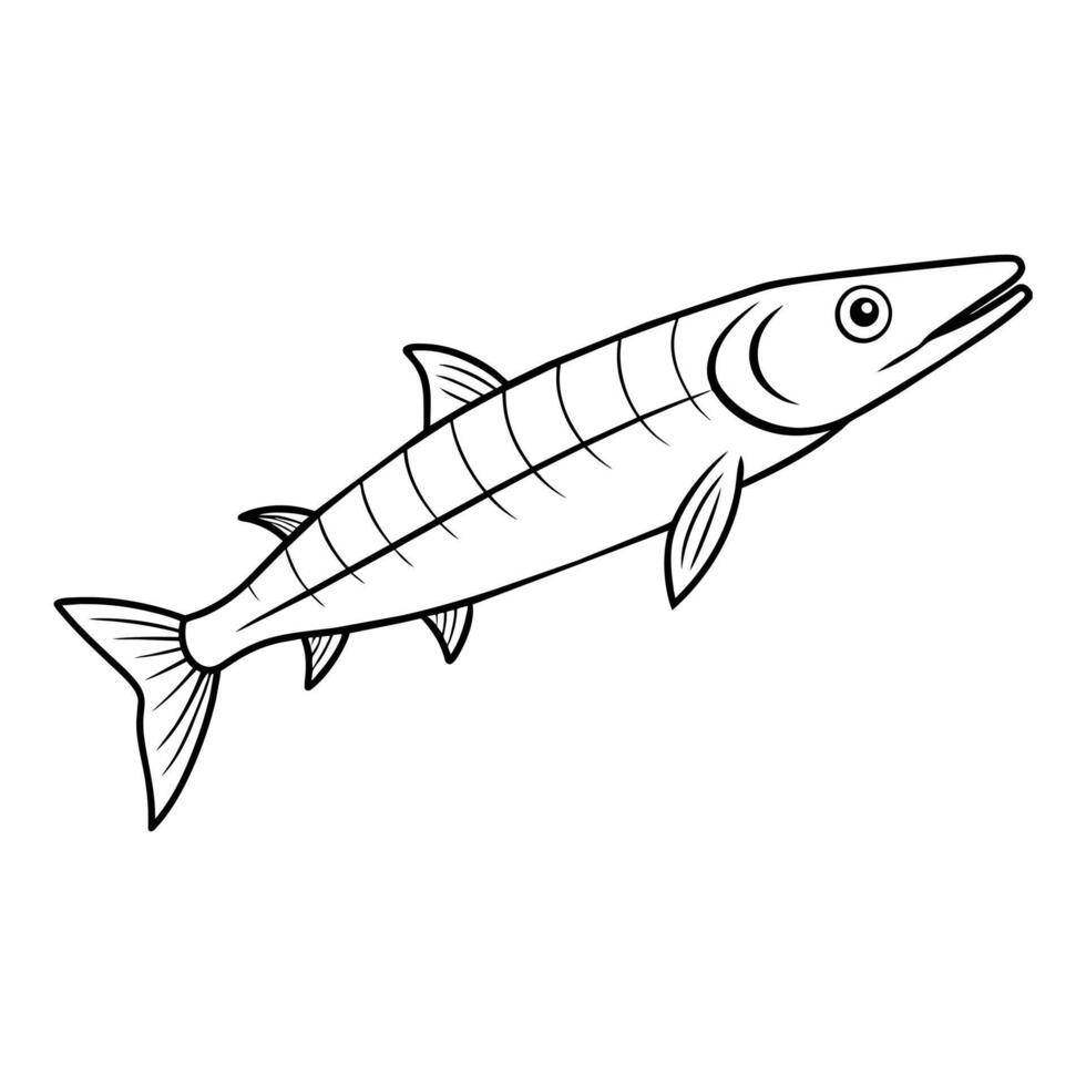 Barracuda illustration coloring page for kids vector