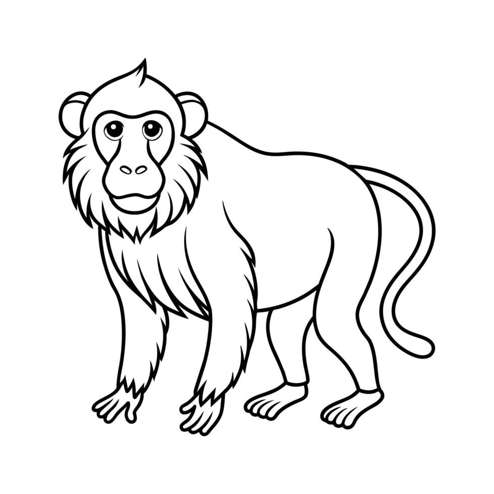 Baboon illustration coloring page for kids vector