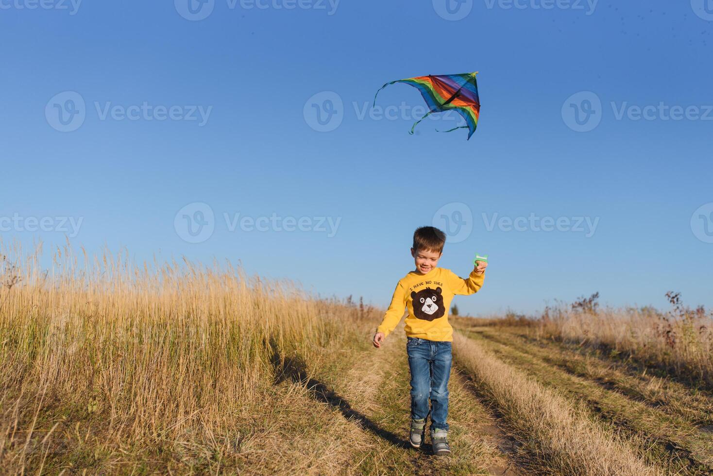 Happy child playing with a kite while running on meadow, sunset, in summer day. Funny time with family. Little boy launch a kite. photo