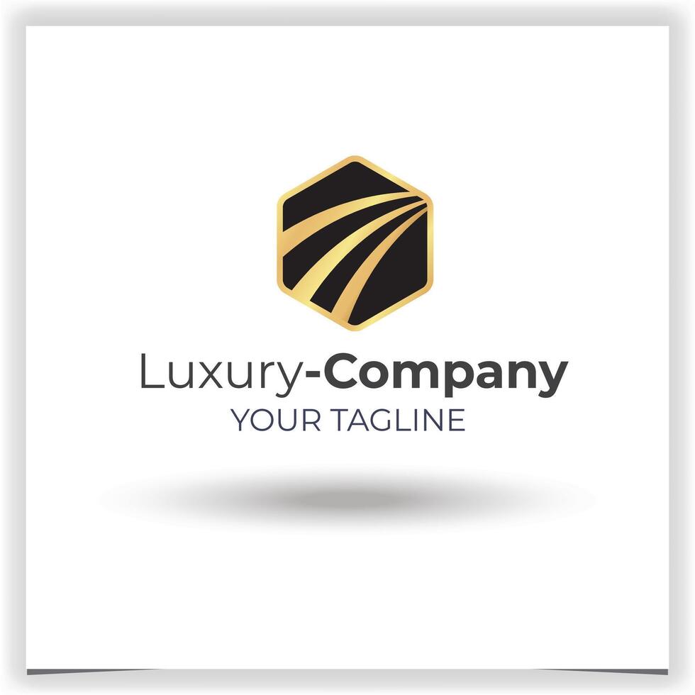 Vector luxury hexagon company logo design template