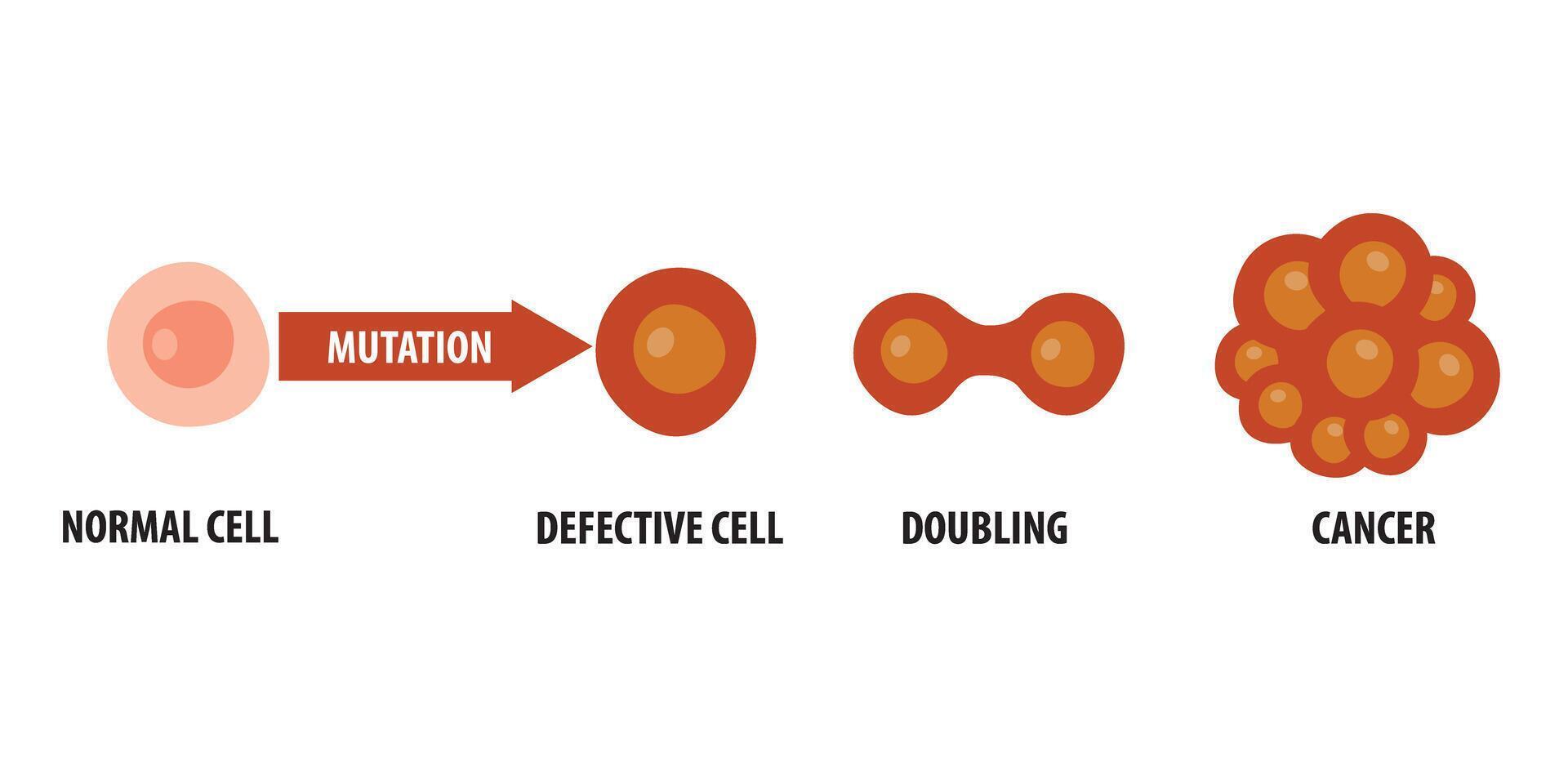 Process of cancer development infographic illustration vector