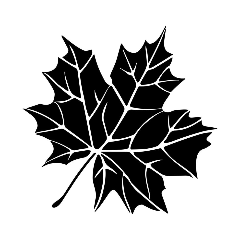 Maple Leaf Logo Vector, Maple Leaf Silhouette vector