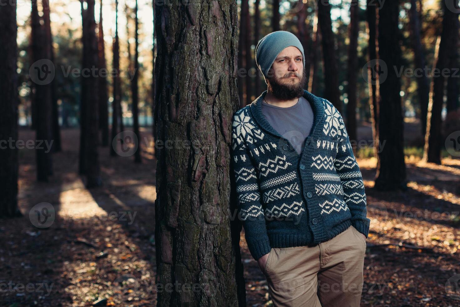 a young man with a beard walks in a pine forest. Portrait of a brutal bearded man Autumn forest photo