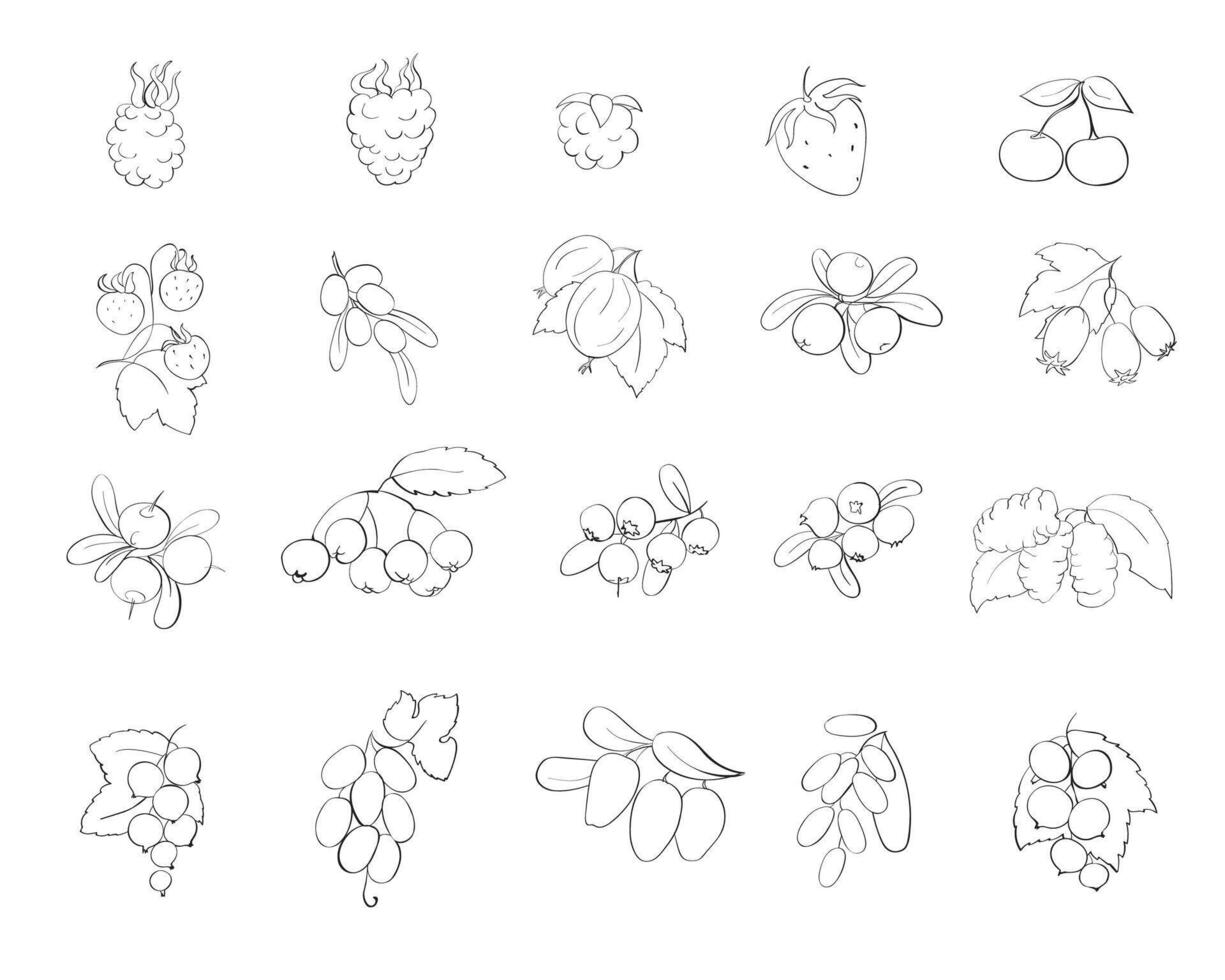 Set berry icons. Black outline. Collection of cartoon berries. Hand-drawn berries vector