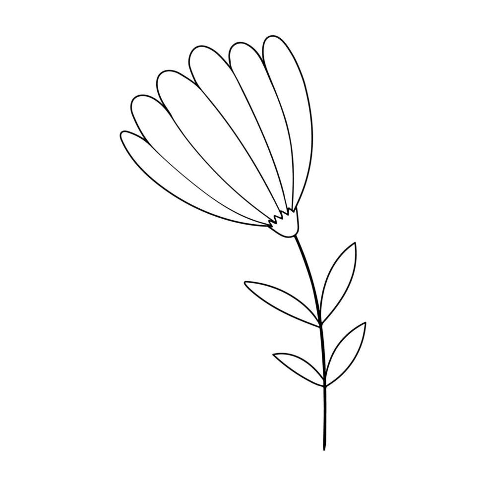 Hand sketched floral design element. Foliage line art design for wedding, card, invitation, greeting vector