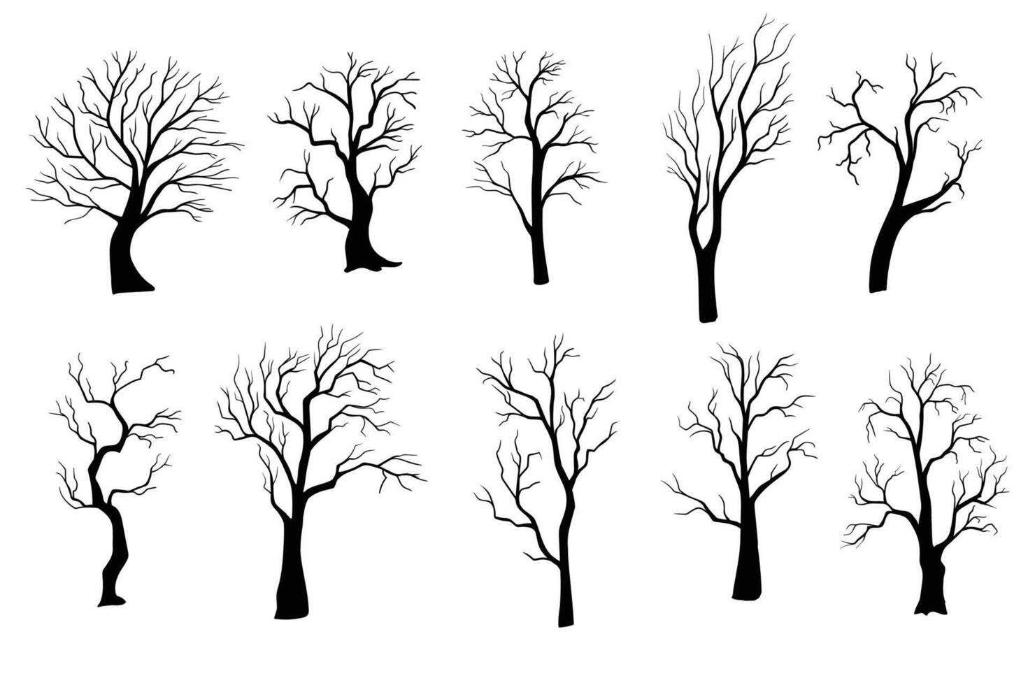 silueta de árbol sin hojas. mano dibujado aislado ilustraciones vector