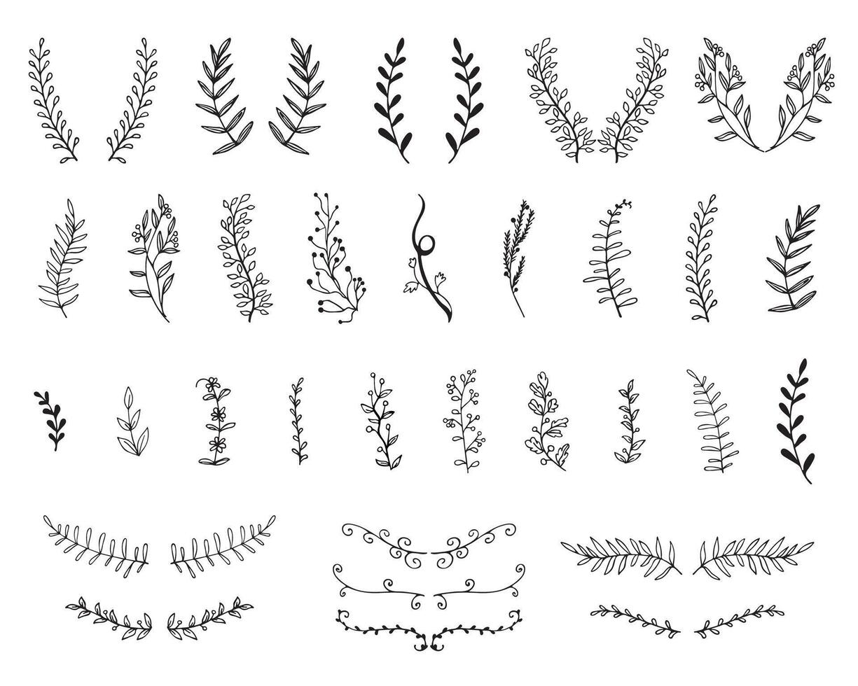 Vintage set of hand drawn tree branches with leaves and flowers on white background vector