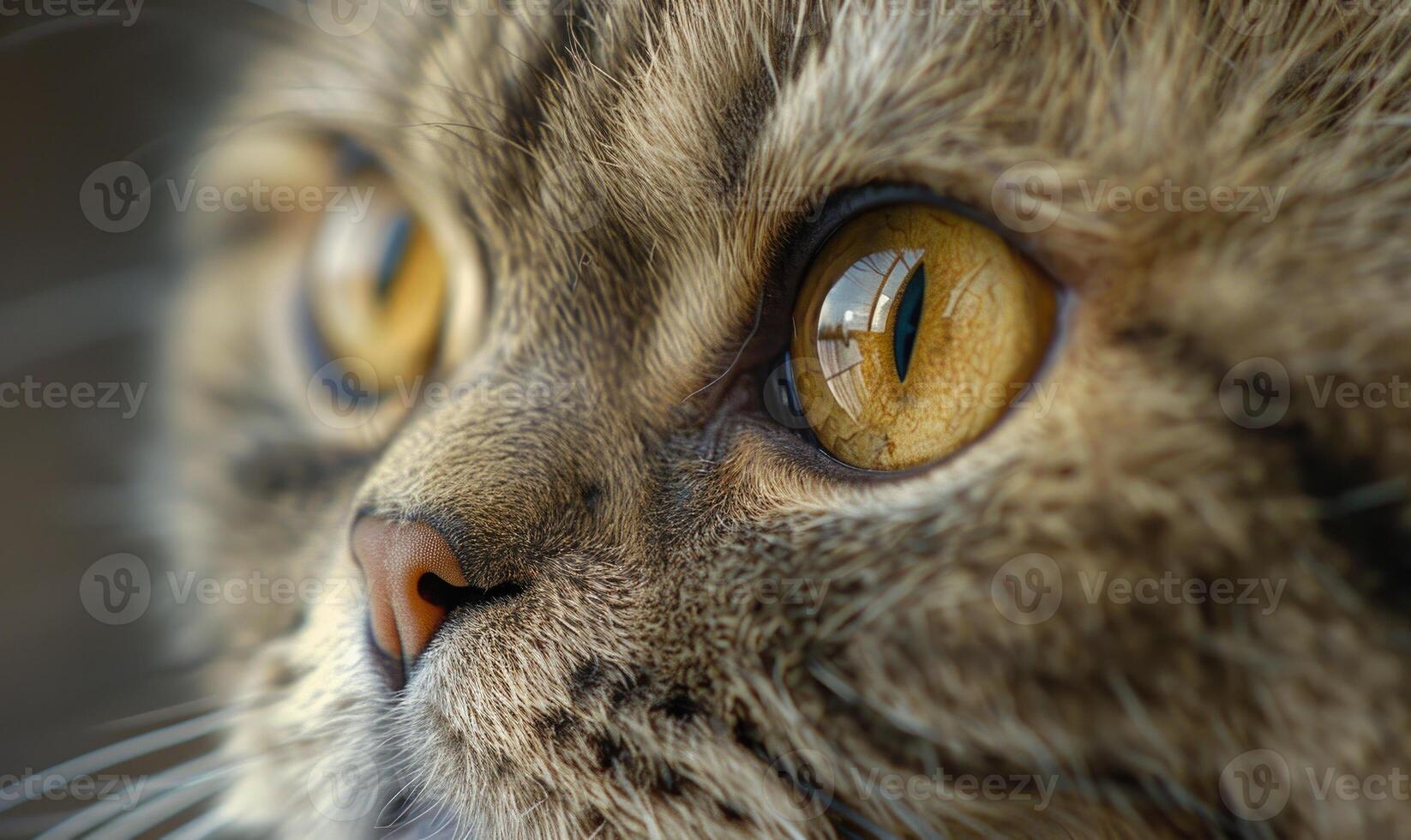 ai generado de cerca retrato de un gato con amarillo ojos en un negro antecedentes foto