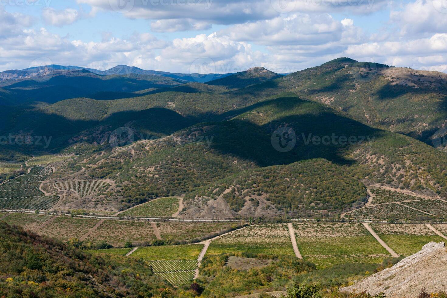 hermosa Valle en el montañas con viñedos foto