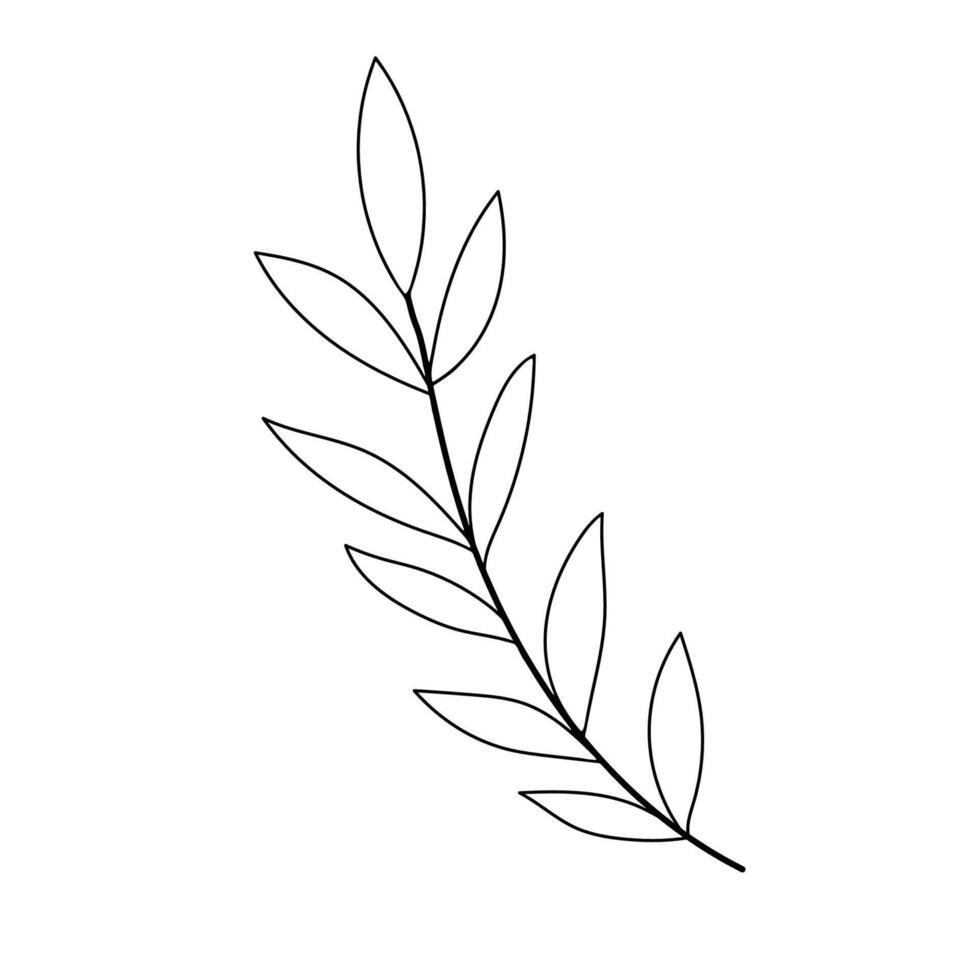 Hand sketched floral design element vector