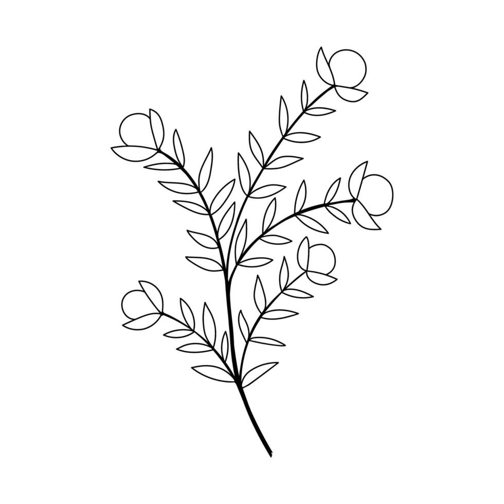 Hand sketched floral design element vector