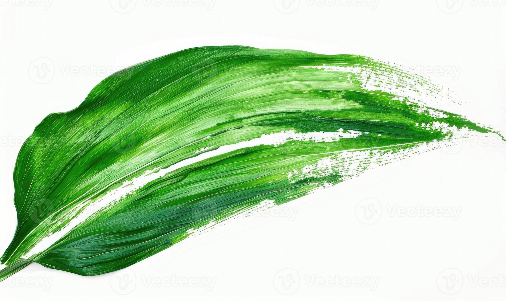 AI generated Deep green leaf-shaped brush stroke on white background photo