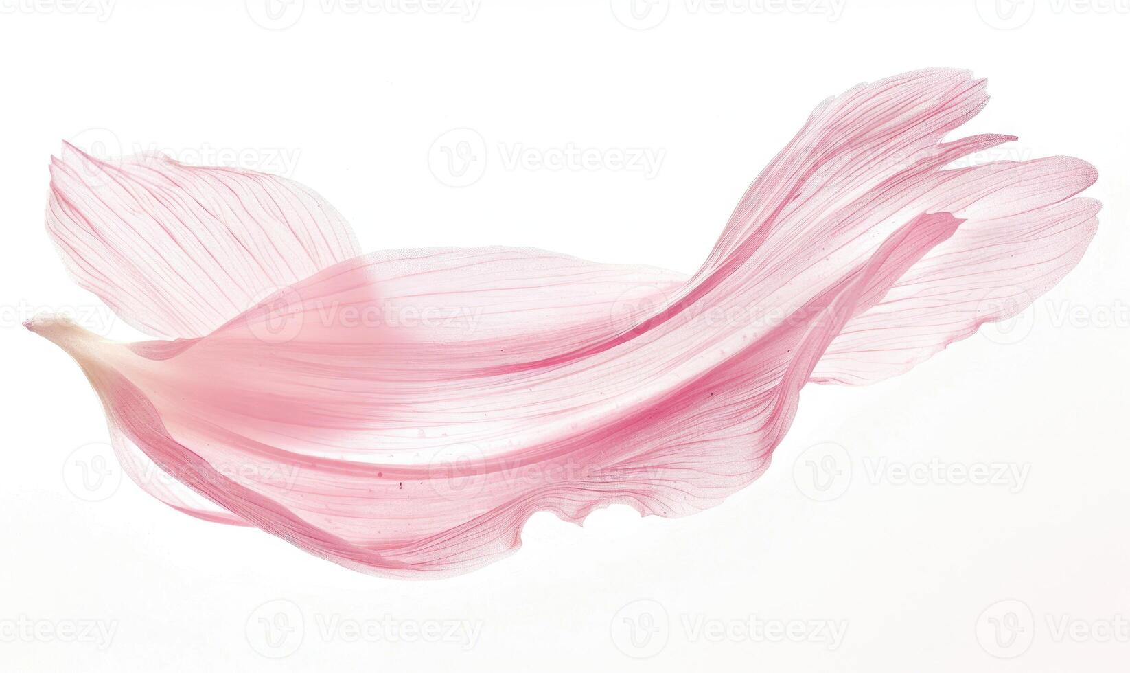 AI generated A lone brush stroke creating a chamomile petal. Pastel pink paint stroke on white background photo