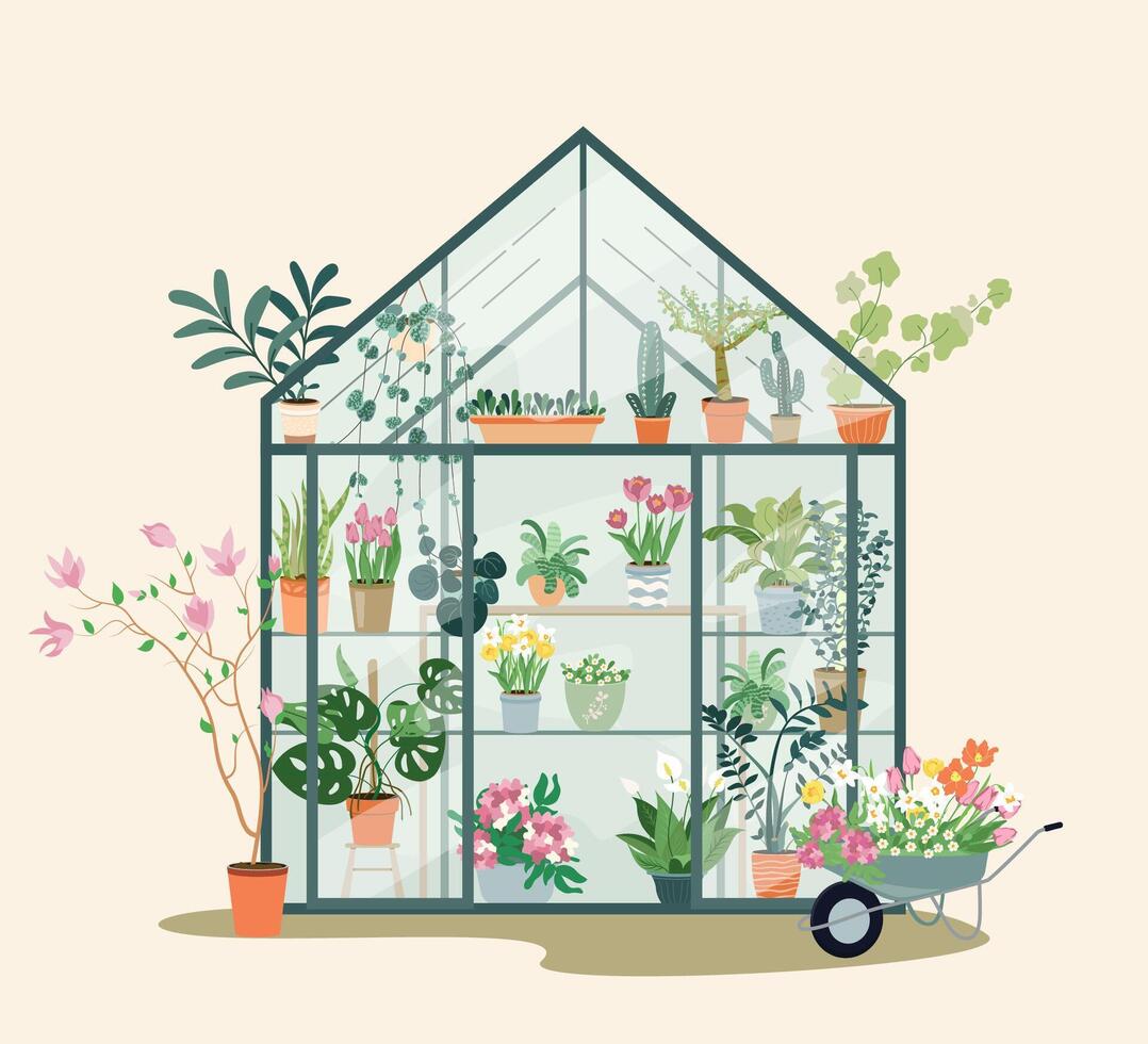 Composition with plants growing in pots or planters inside glass greenhouse. Vector flat illustration with cute orangery or botanical garden. Colored concept of home gardening Vector flat illustration