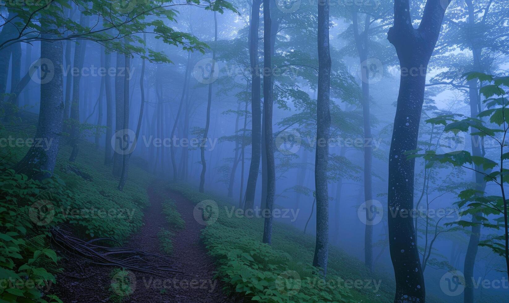 AI generated Mystical foggy forest. Foggy path in the woods. photo