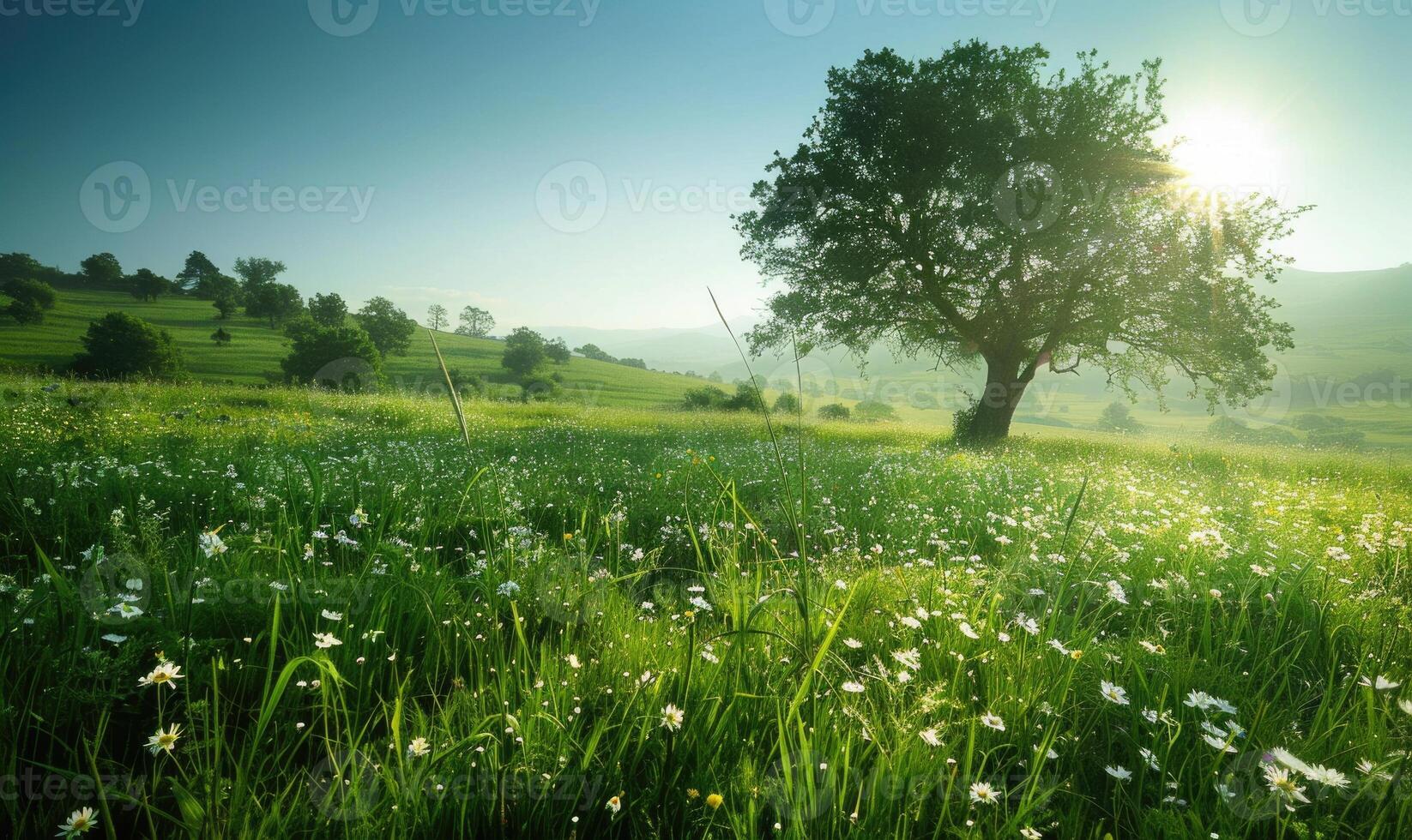 AI generated Sunlit green meadow, spring meadow background photo