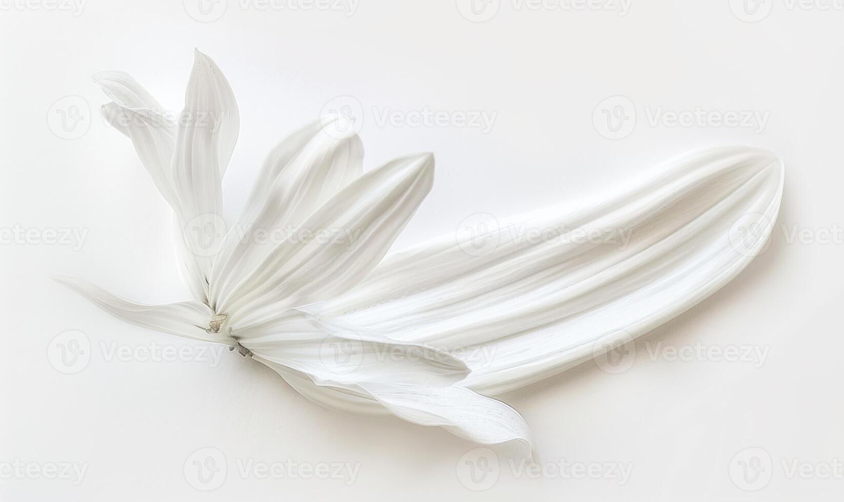 AI generated White paint brush stroke and white daisy flower on while background. photo