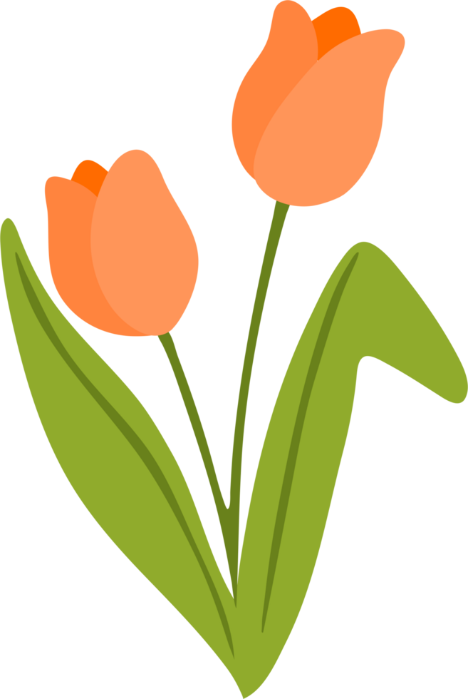 spring season element 41463538 PNG