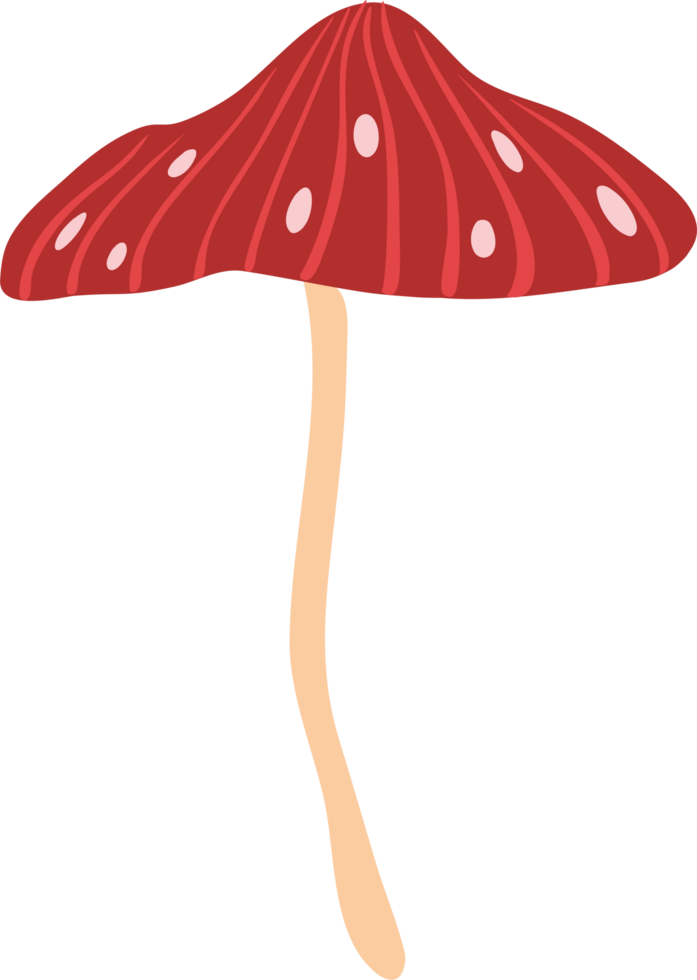 cute mushroom in the forest png