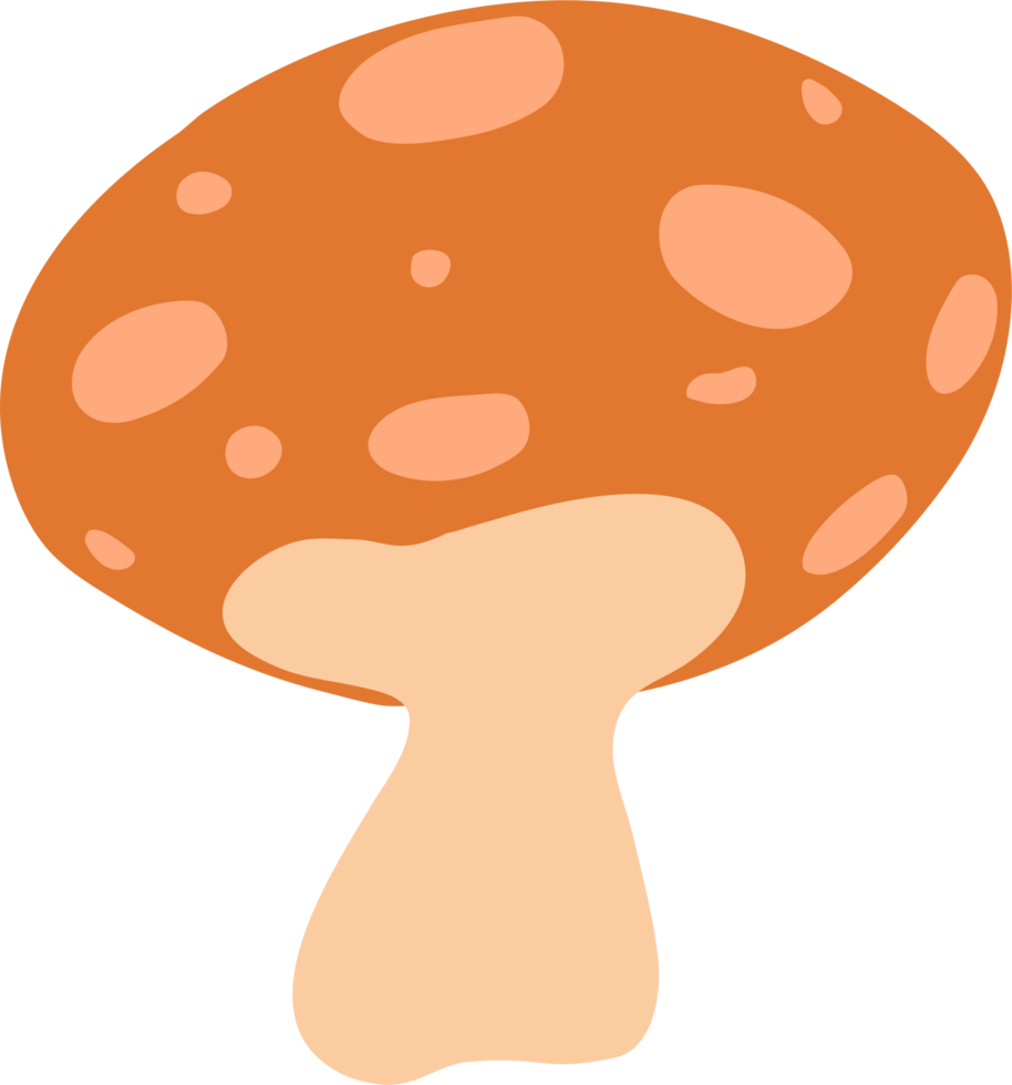 cute mushroom in the forest png