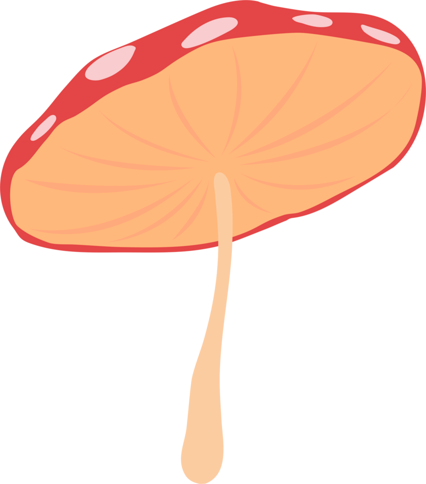 cute mushroom in the forest png