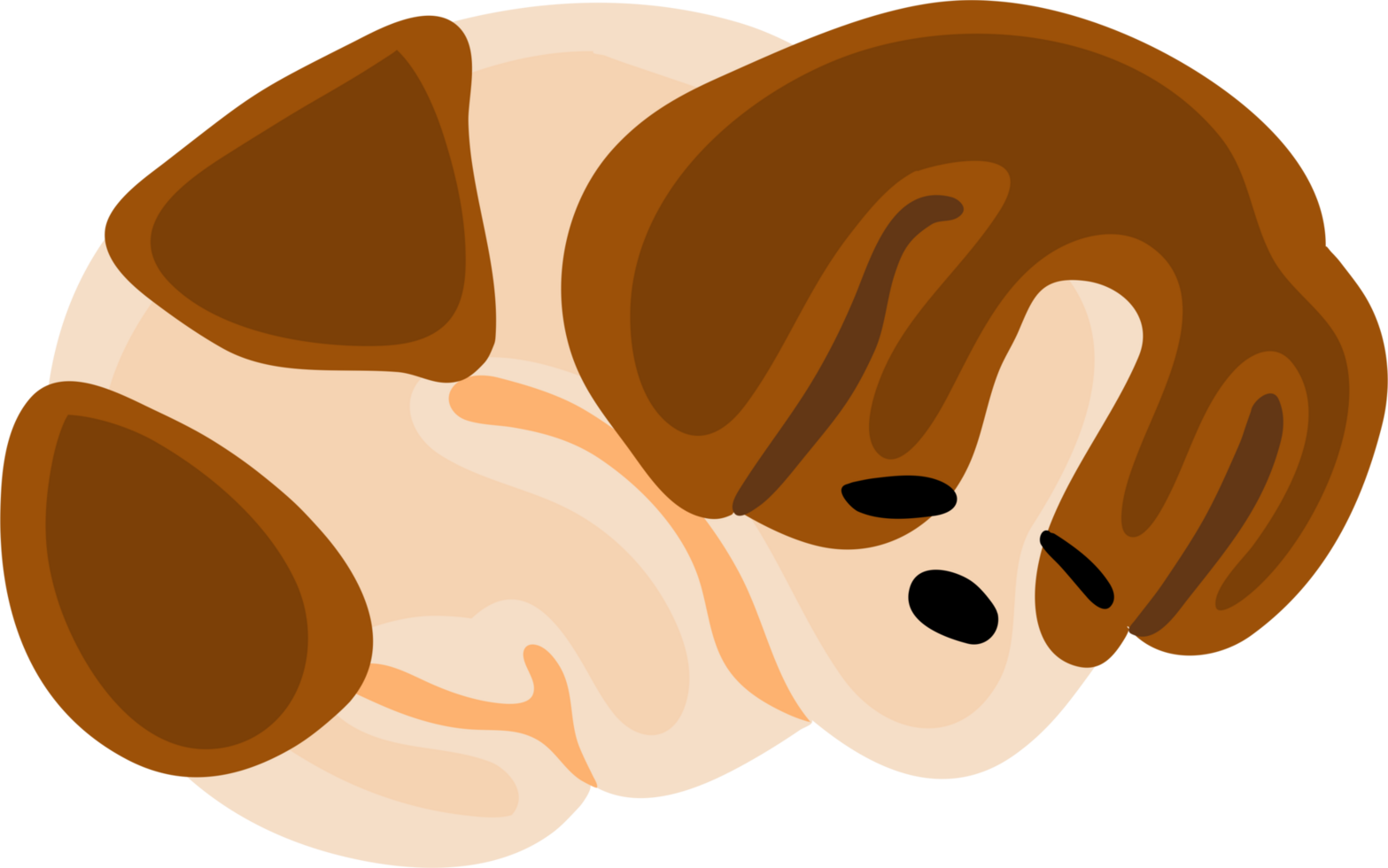 cute cartoon dog png