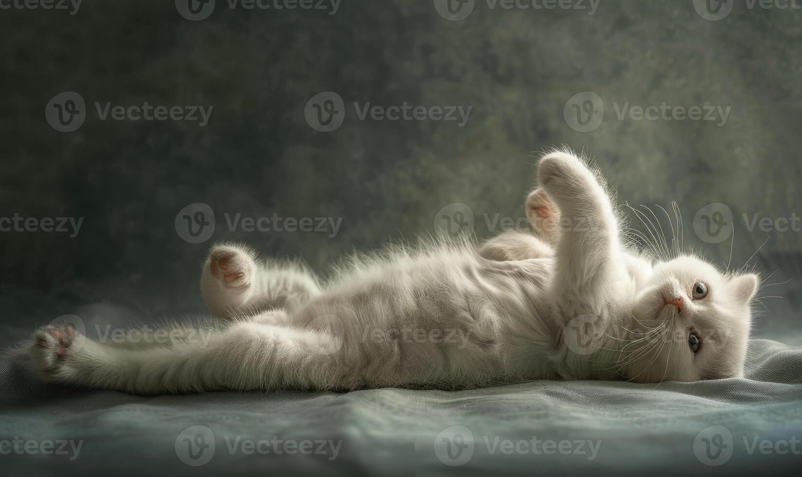 AI generated Cute white cat lying on a gray background. Copy space. photo