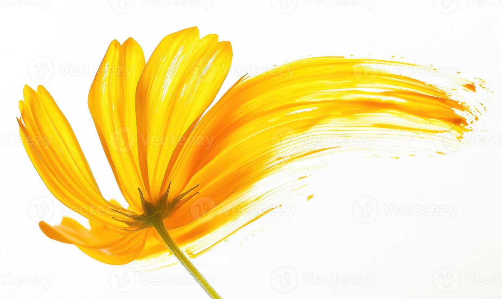 ai generado de colores cepillo carrera formación un manzanilla pétalo, suave amarillo manzanilla flor en blanco antecedentes foto