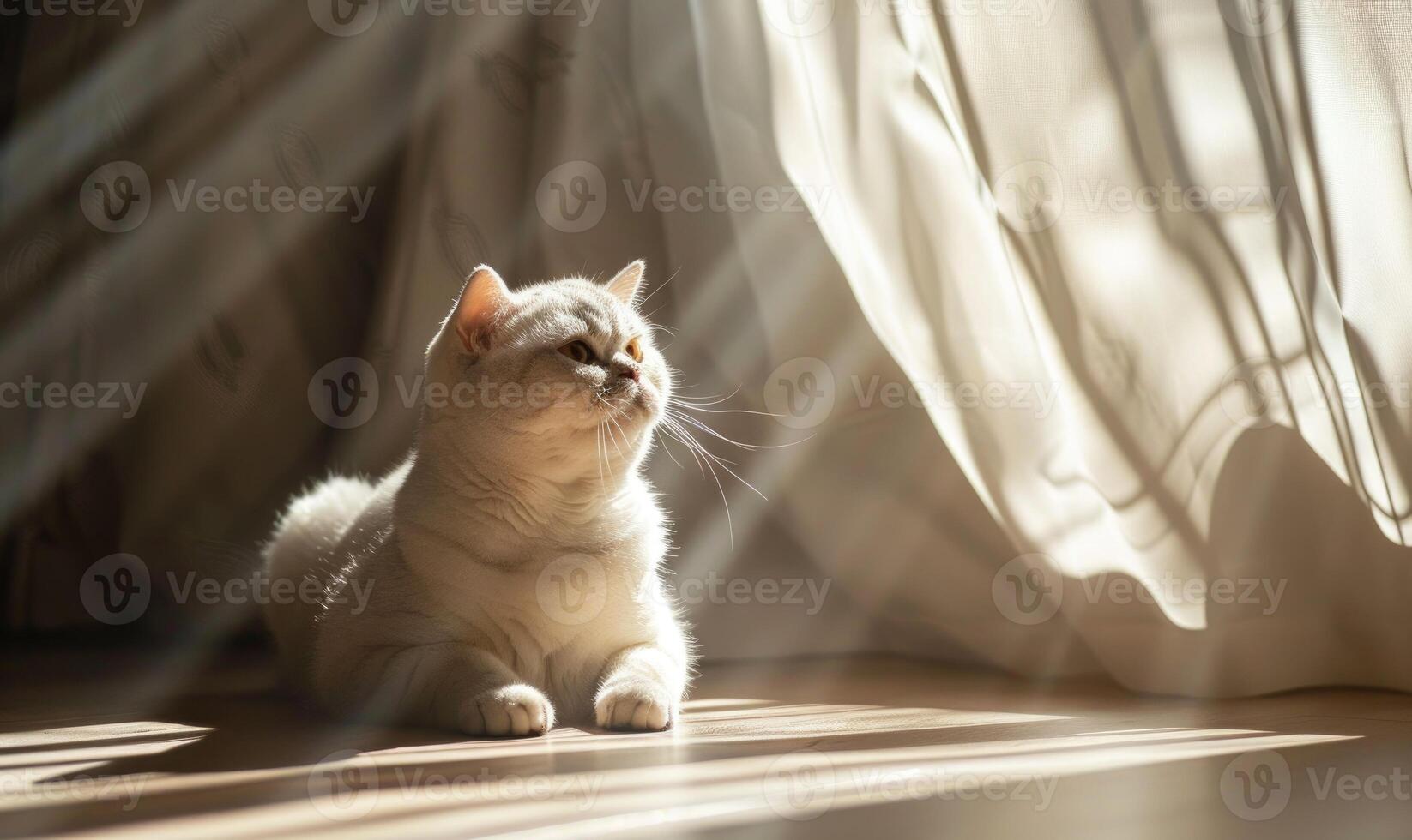 AI generated Cute cat sitting on the floor with sunlight and shadows from window photo