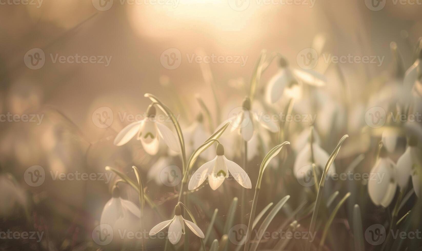 AI generated Snowdrops swaying in the breeze, close up view, soft focus, blurred background photo