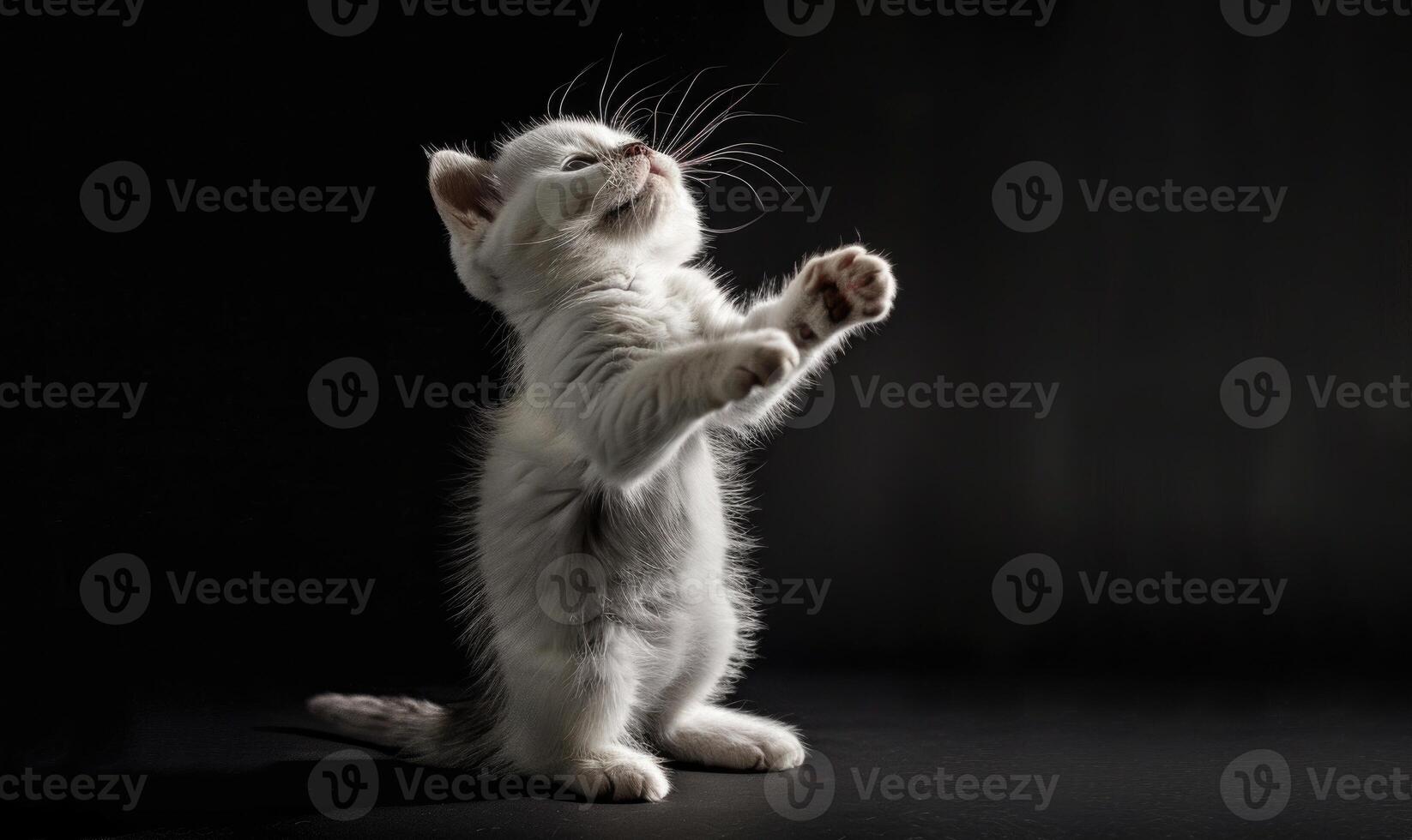 ai generado gracioso gatito en un negro antecedentes. foto