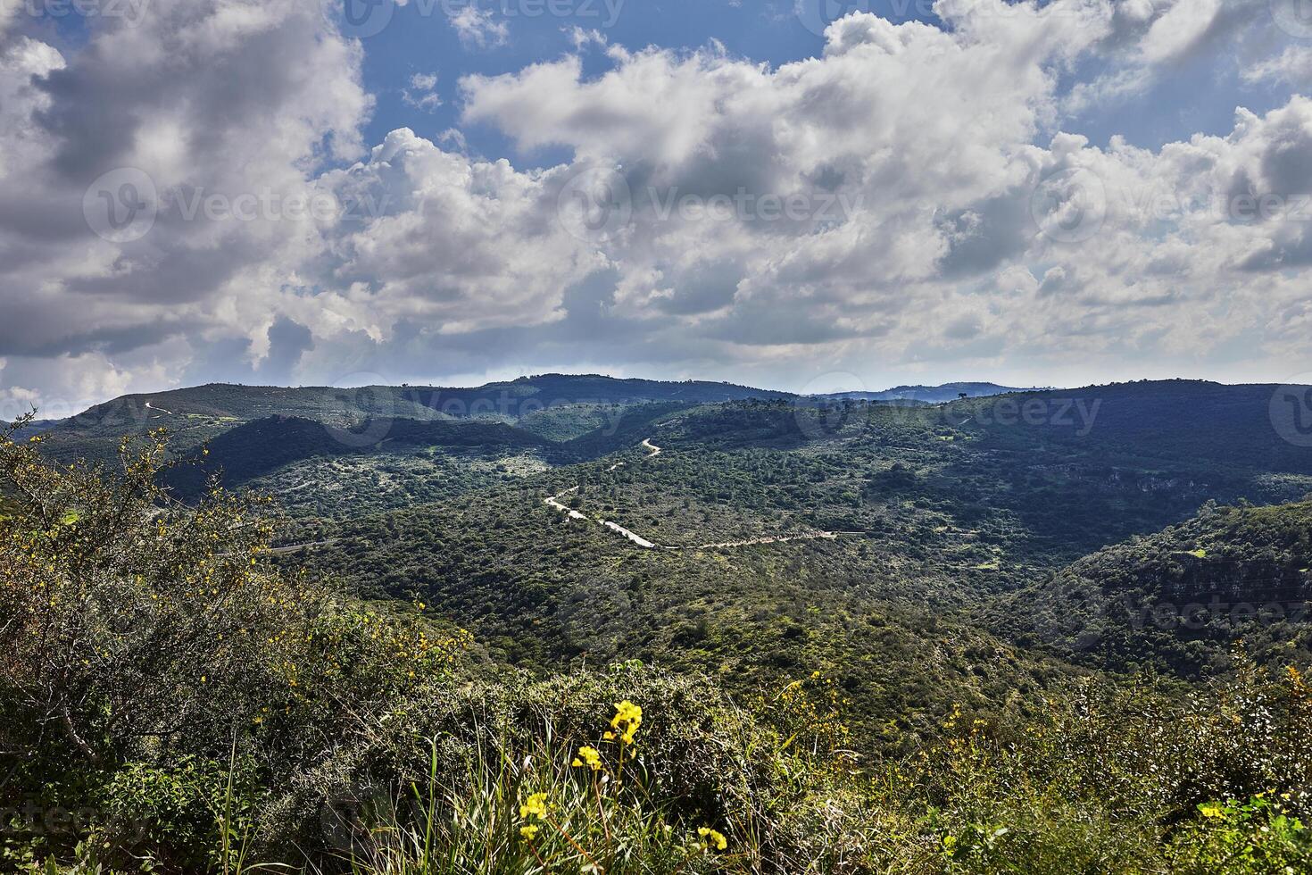 Peaceful Green Hills and Cloudy Blue Sky Landscape with Vibrant Colors photo