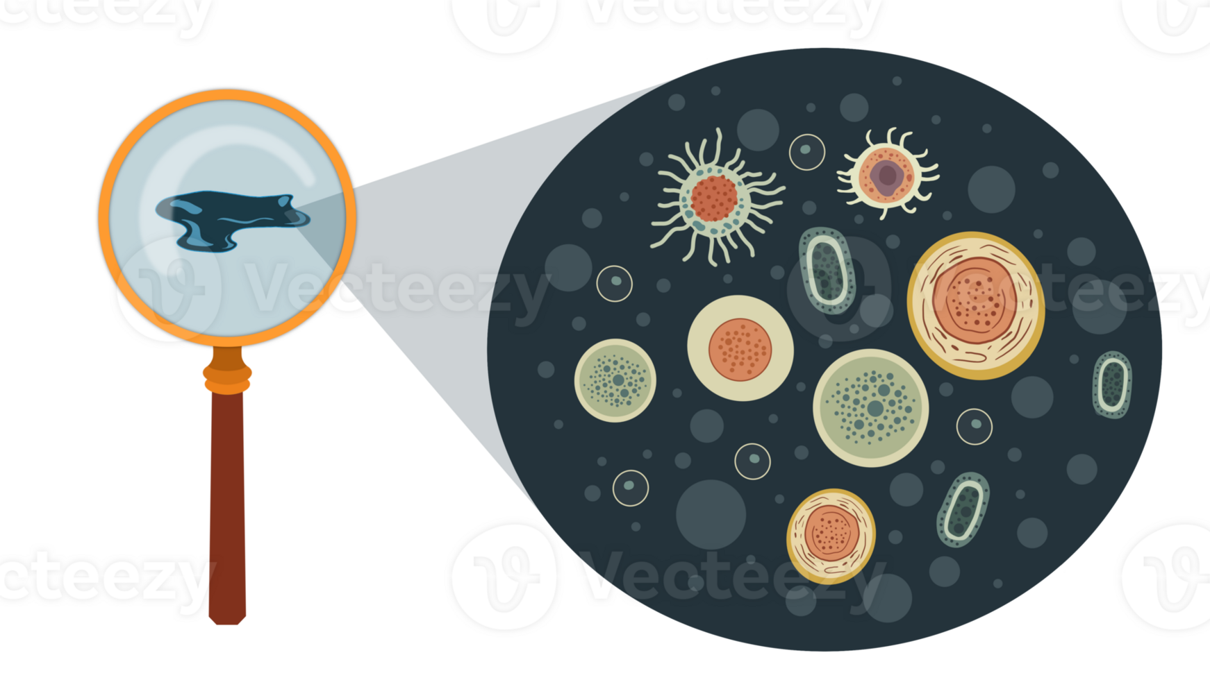 microorganisms and bacteria, Theme of laboratory biological research under microscope, Microscopic protozoa in a drop of water magnification, mutiple microscope in the laboratory, Magnifying glass png