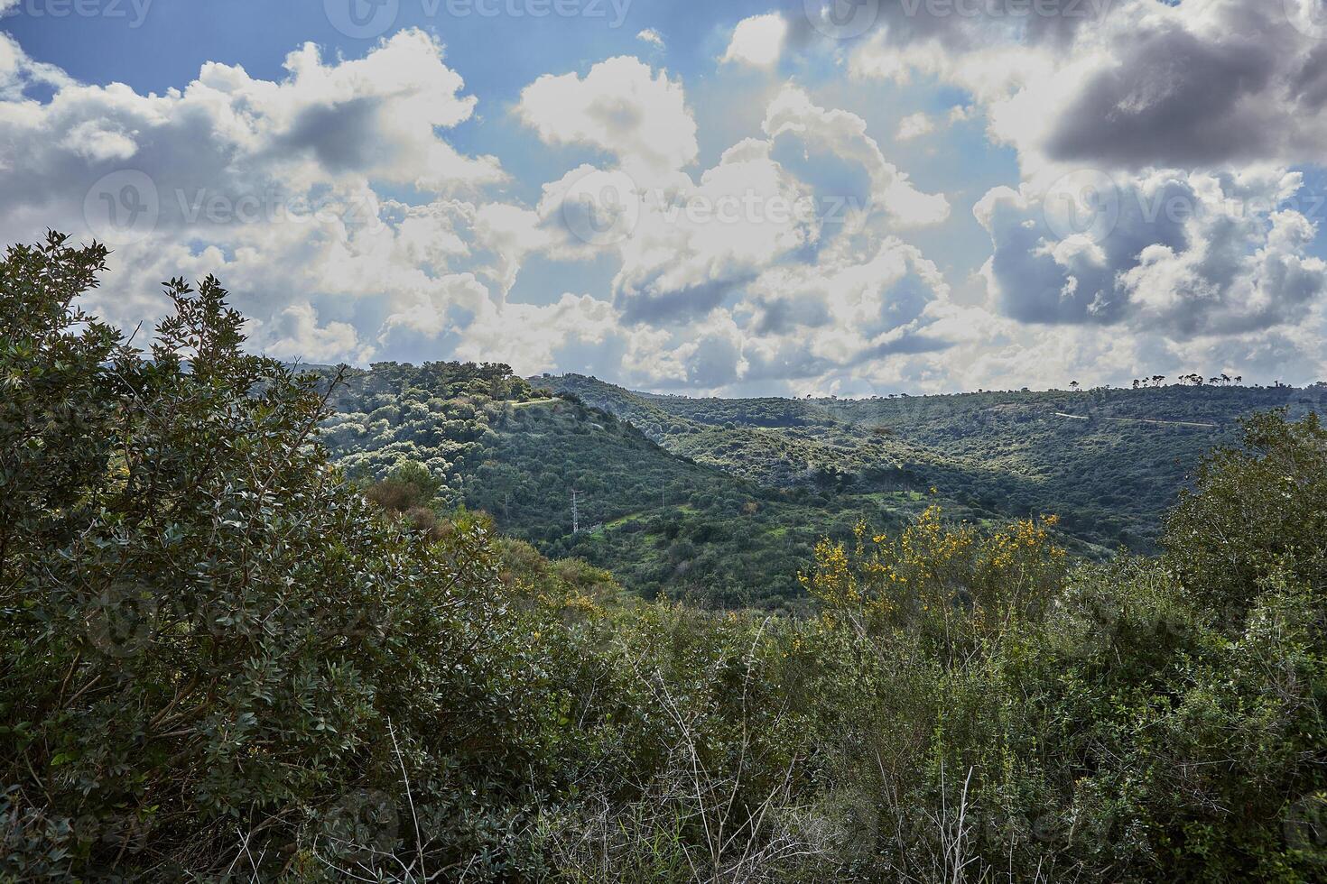 A serene image of green hills and a blue sky with fluffy white clouds. Vibrant colors and lush vegetation cover the hills. Perfect for backgrounds or travel brochures. photo