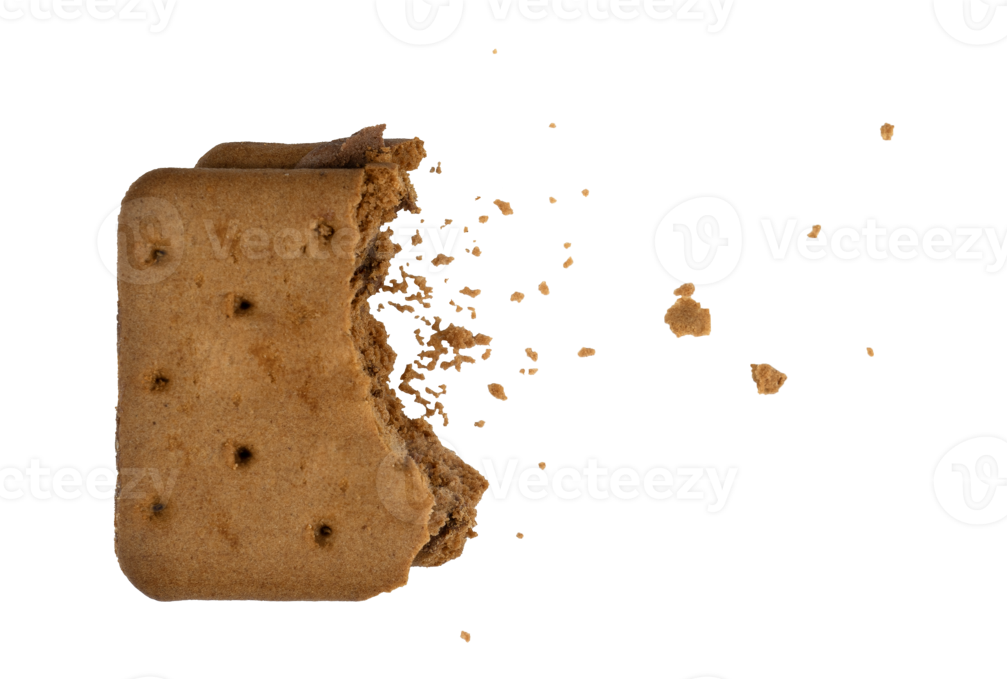 bite of chocolate cookie with crumbs isolated png