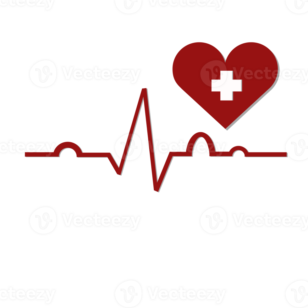 heart and heartbeat cardiogram for anatomy png
