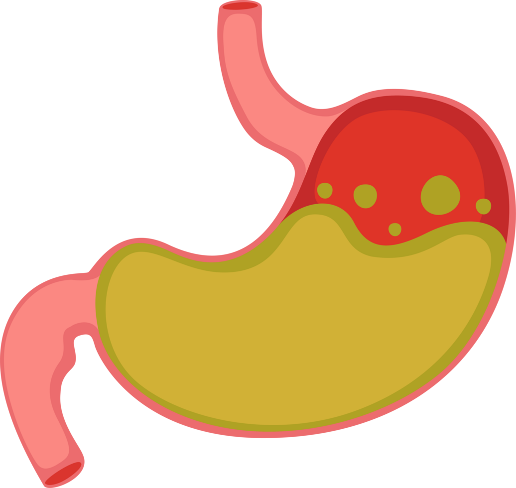 illustration stomach simple png