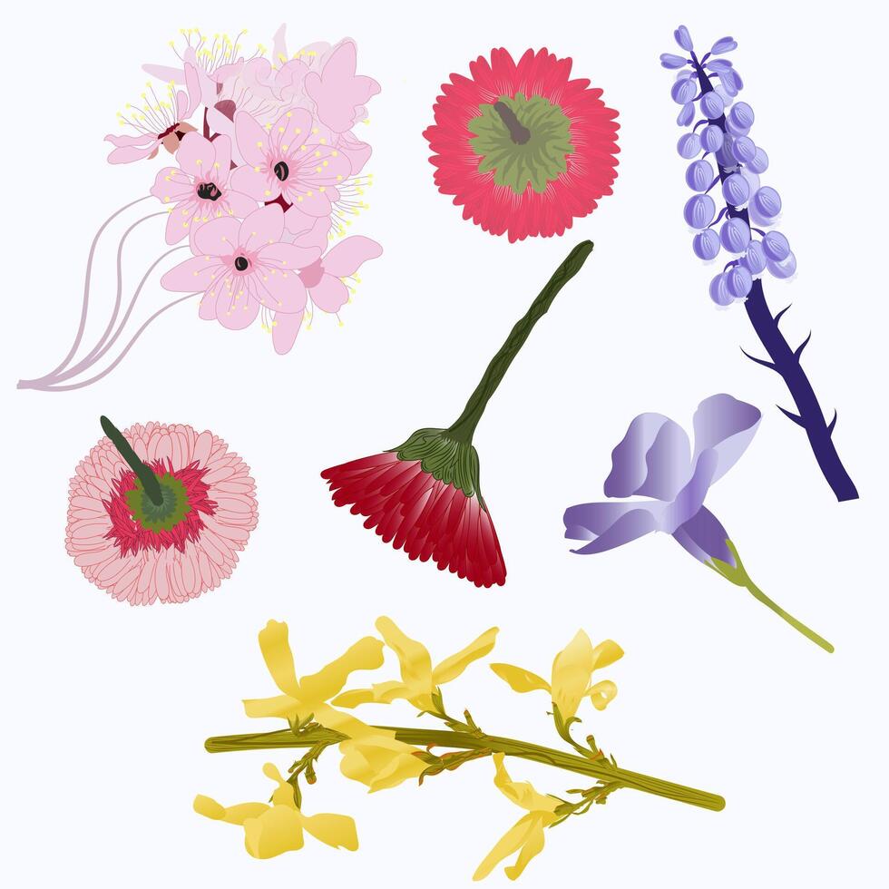 Hand drawn flower collection vector