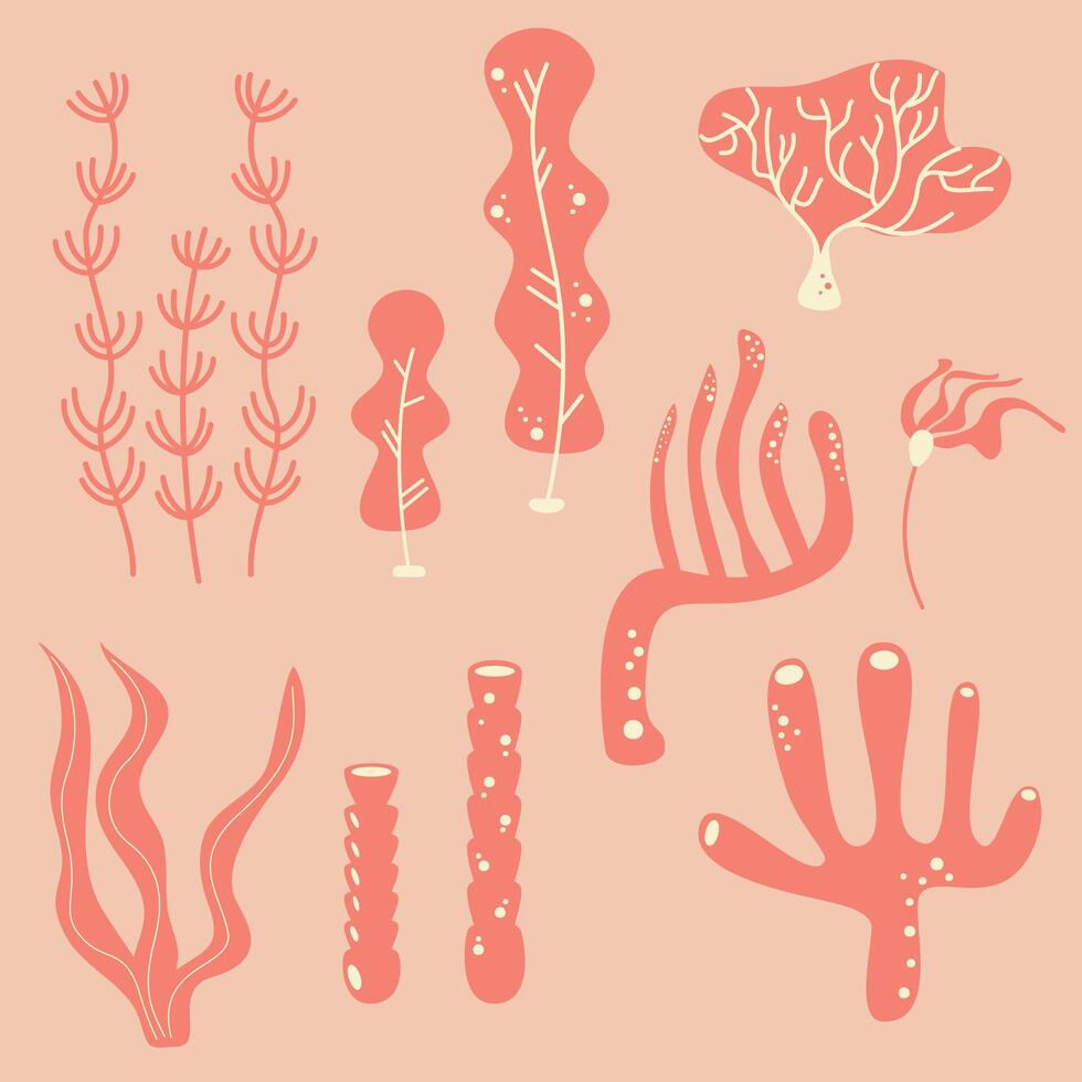 red and pink cute set with algae, corals, marine plants vector illustration