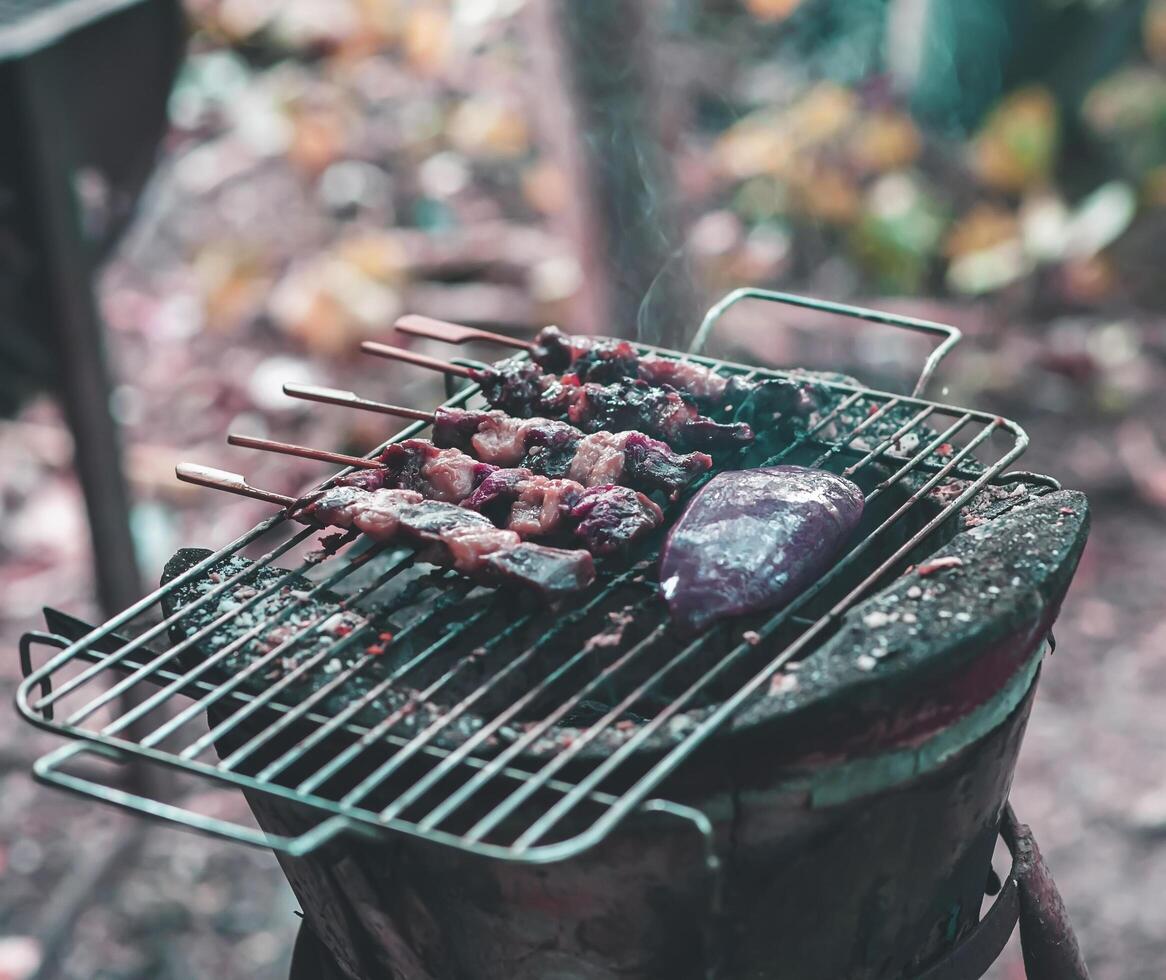 Pieces of beef skewers grilled on a skewer in a clay oven. photo