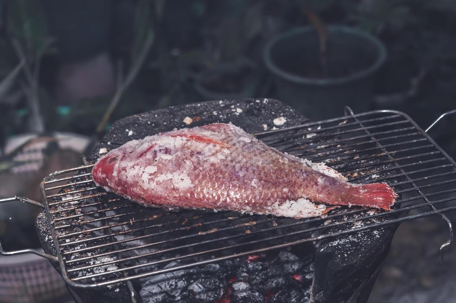 The ruby fish is coated with salt and placed on a charcoal grill in a clay oven. photo