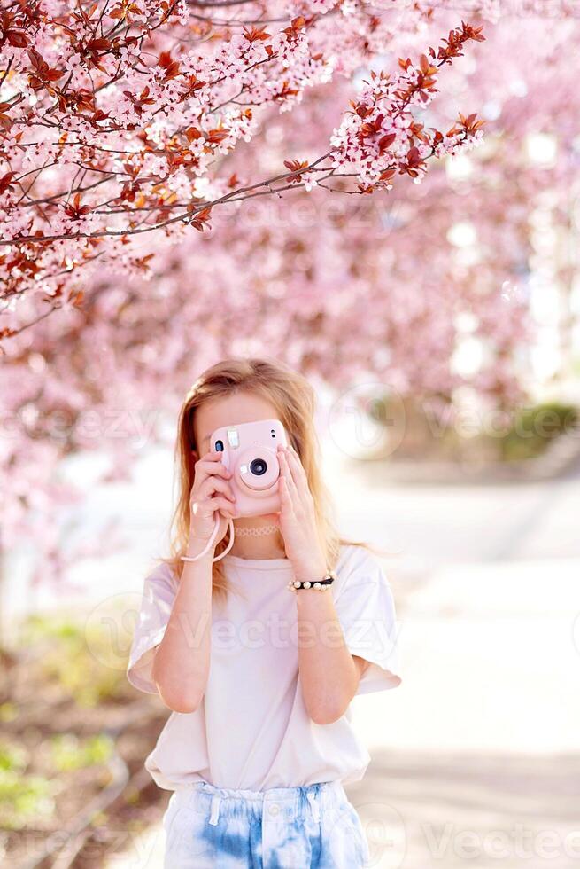 sakura or cherry blossom in spring season with full bloom pink flower travel concep photo