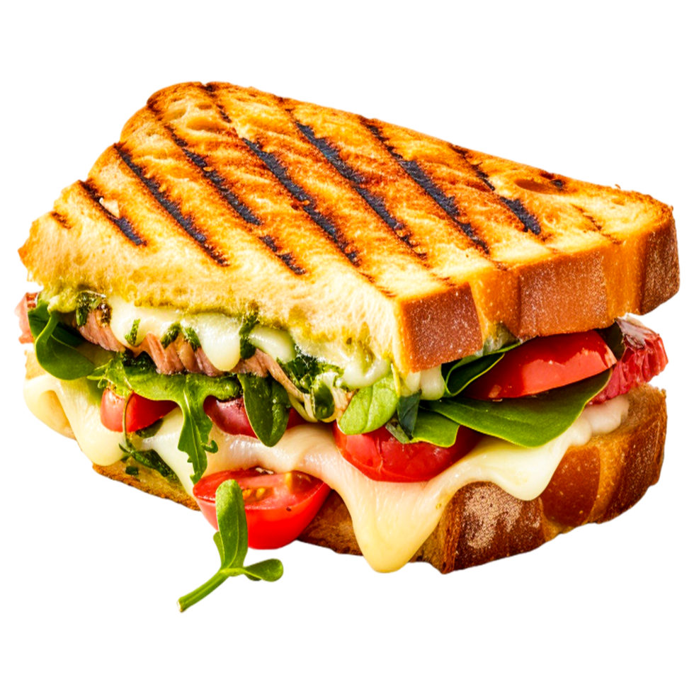 AI generated Hamburger Cheese Sandwich Toast png