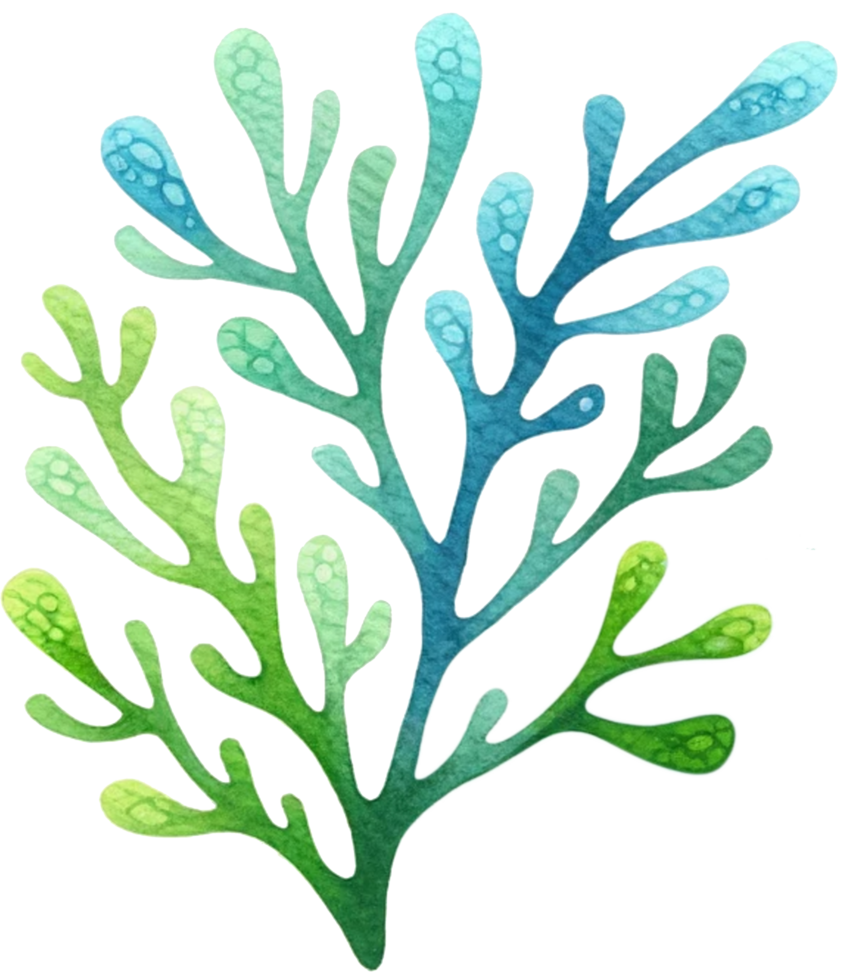 AI generated Colorful seaweed ocean flora watercolor illustration AI Generative png