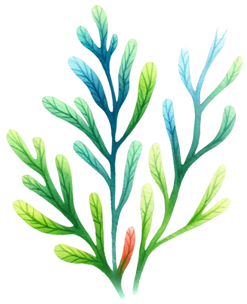 AI generated Colorful seaweed ocean flora watercolor illustration AI Generative png