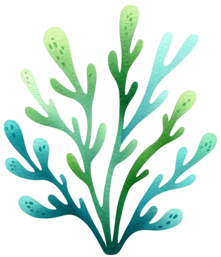 AI generated Colorful seaweed ocean flora watercolor illustration AI Generative png