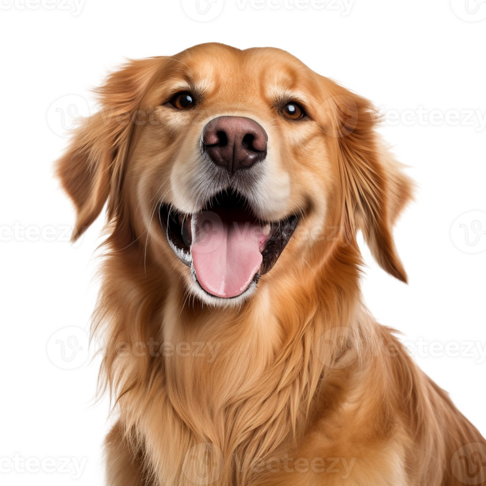 AI generated Very happy smiling dog portrait isolated on transparent background, created with generative AI png